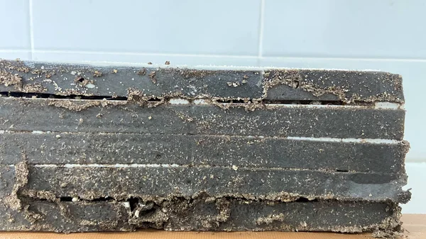 Traps Killing Termites House Termite Killing Equipment — Stock Fotó