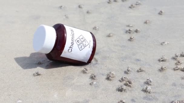 Chemical Bottles Lab Were Discarded Beach Destroy Environment — Video