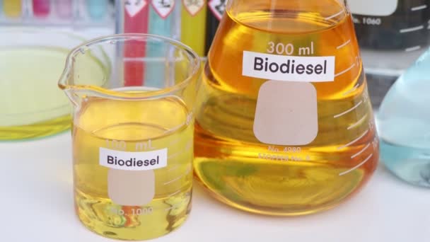 Biodiesel Chemical Used Laboratory Industry Flammable — Stockvideo