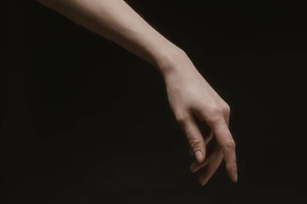 Woman Hands Dark Barokko Style — Fotografia de Stock