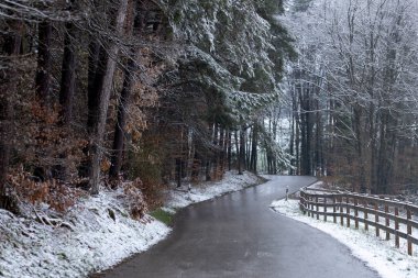 Ormandan geçen kış yolu ahşap bir çitle