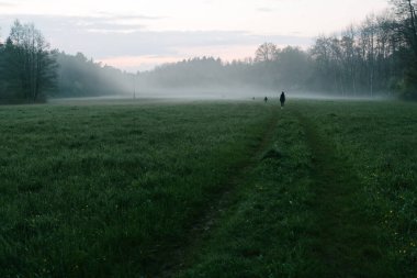 Sahada sis veya sis var. Aile sisli bir günde tarlada yürüyor.