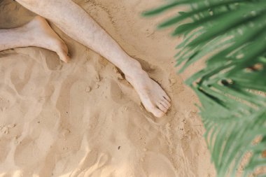 Yaz tatilinin harika anları. Seyahat ve turizm. Dinlen ve rahatla. Güneş yanığı için vücut bakım ürünleri. Huzur ve keyif. Harika bir zaman. Otelde dinlen. Yaşam biçimi.