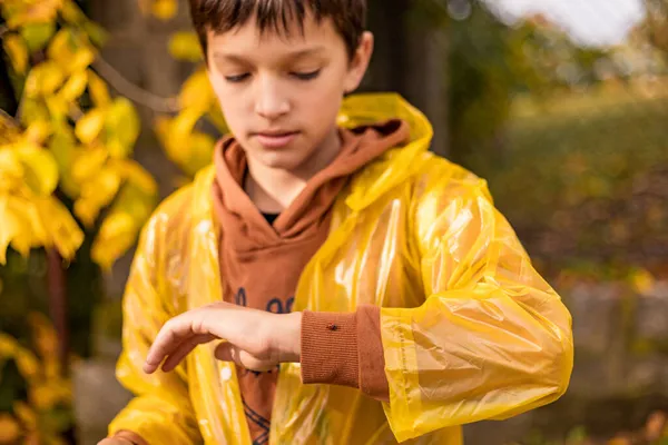 Phophoto Teenage Boy Yellow Raincoat Autumn Leaves Walking Park Lady — Foto Stock