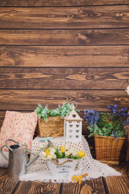 Fotoğraf bölgesi. Tahta kutular ve saksılardaki çiçeklerin bahar süslemeleri ile ahşap bir arka plan. Sarı laleler, metal su bidonları. Metin için alanı kopyala