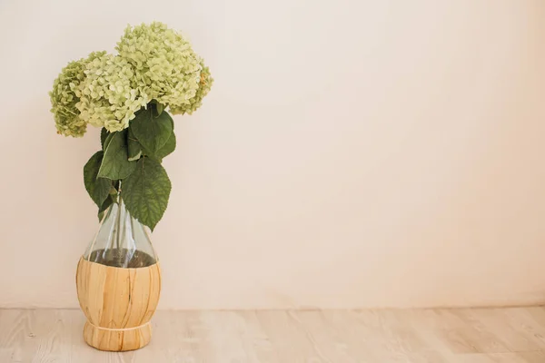 Bouquet Fresh Green Hydrangeas Original Glass Bottle Light Sedate Background — Stock Photo, Image