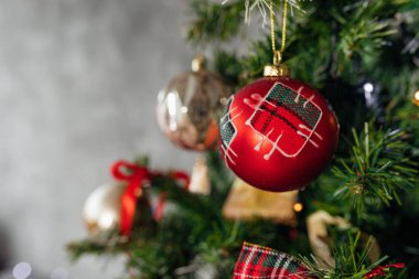 Noel ağacı dalları hızlıdır. Oyuncak, Noel süsü. Uzayı kopyala Noel dekoru. Noel ağacı, gri arka plan fotoğrafı