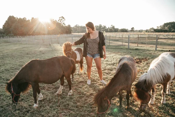 Owner Farm Pasture Stroking Beautiful Well Groomed Pony Life Farm — Stockfoto