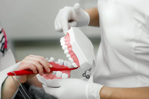 Estudio Niños Cepillando Los Dientes Correctamente Con Cepillo Dientes Rojo — Foto de Stock