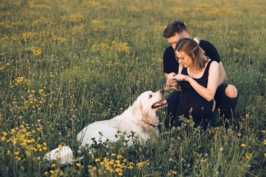 Genç hamile kadın ve koca tarlada yürüyor, ellerinde bebek botları var. Bebeği bekleyen bir çift, dışarıda köpekle rahatlar.. 