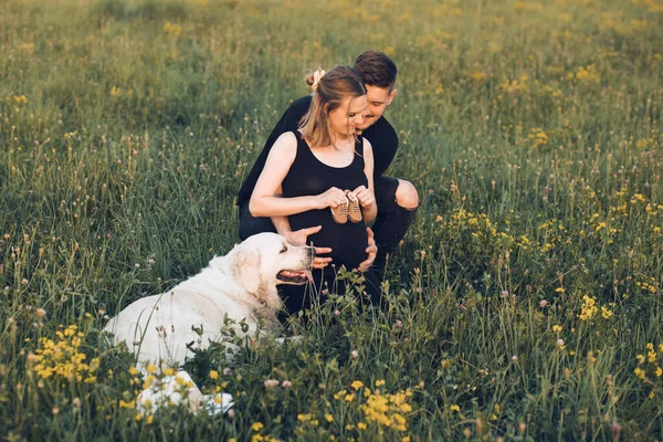 Młoda ciężarna żona i mąż spacerujący po polu, trzymający dziecięce buty. Rolnicy czekają na dziecko, odpocząć na świeżym powietrzu z psem. — Zdjęcie stockowe