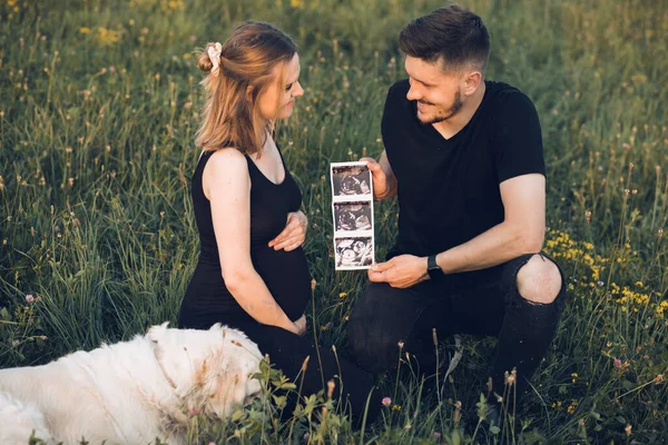 Joven esposa embarazada y marido caminando en el prado, mantenga fotos de ultrasonido. Pareja esperando al bebé, relajarse con el perro — Foto de Stock