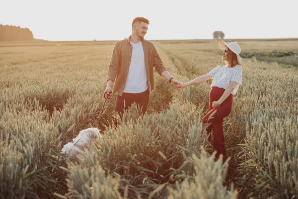 Giovane moglie incinta e marito che camminano sul campo, si tengono per mano insieme. Coppia in attesa di bambino, relax all'aria aperta con cane — Foto Stock