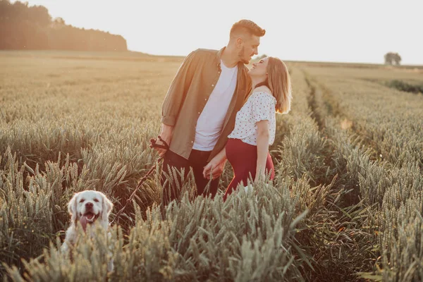 Genç hamile karı ve koca el ele tutuşarak sahada yürüyor. Bebeği bekleyen bir çift, dışarıda köpekle rahatlar. — Stok fotoğraf