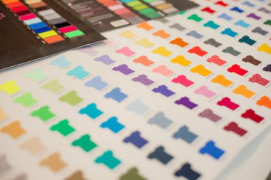 Reklam işi tekstil kumaş üretimi için tişört renk seçimi. Litho serisi