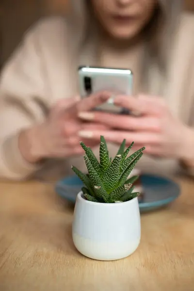 Mujer charlando y conectándose con amigos por tecnología de dispositivos inteligentes. Cactus en maceta blanca en el lugar de trabajo, negocio — Foto de Stock