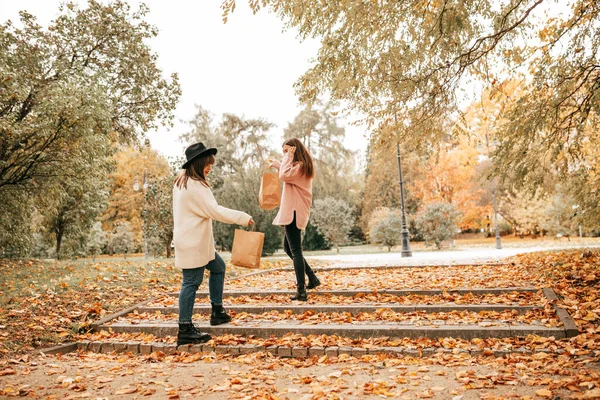 黄金の秋の公園、階段を歩いて2人の親しい女性の友人の女性。ショッピングの日、生態系の繊維袋で購入 — ストック写真