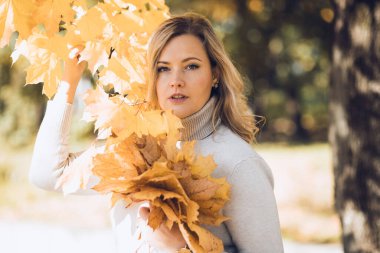 Çekici, kendine güvenen, süveter giyen, altın sonbahar düşüşünü kutlayan sarışın kadın. Ellerinde bir demet altın yapraklı akçaağaç 