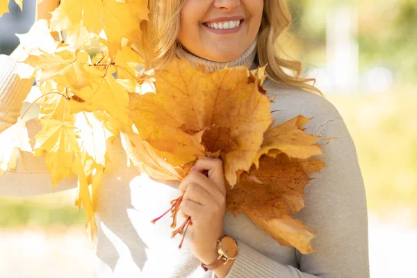 Foto ritagliato sorridente donna mani guardare, raccogliendo, raccogliendo mazzo decoro foglie d'oro aceri fogliame. Da vicino. — Foto Stock