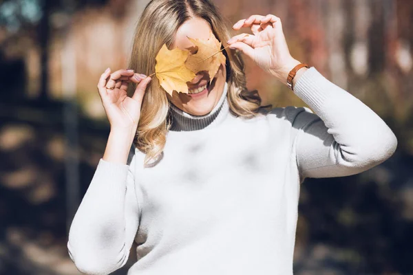 Donna bionda sorridente maglione bianco, tenendo foglie d'oro acero due mani, nascondendo il viso, foglie sugli occhi offuscati. Da vicino. — Foto Stock