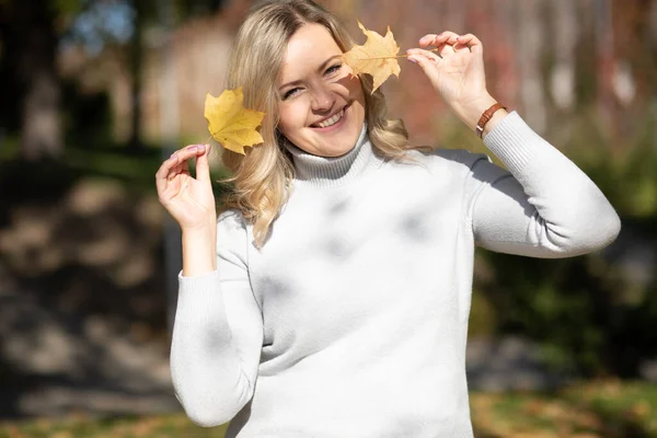 Donna bionda sorridente maglione bianco, tenendo fogliame d'oro foglie gialle acero due mani, nascondendo il viso, offuscata. Da vicino. — Foto Stock