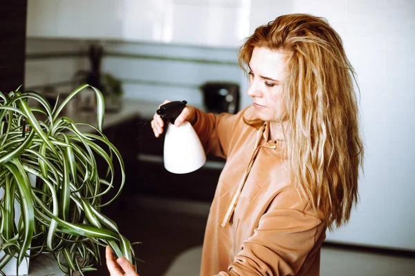 Blond woman florist spray on live chlorophytum flower at home, sprinkling, watering plants by spray gun. Fertilizing — Stock Fotó