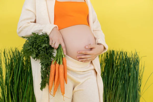 在高档草坪附近种植怀孕的女商人 手里拿着一堆生胡萝卜 健康新鲜的食物 饮食美味健康 为婴儿准备未来的营养 母亲的身体护理 — 图库照片