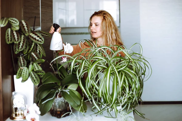 Szőke Fiatal Otthoni Ruhák Öntözés Növények Spray Zöld Virág Levelek — Stock Fotó