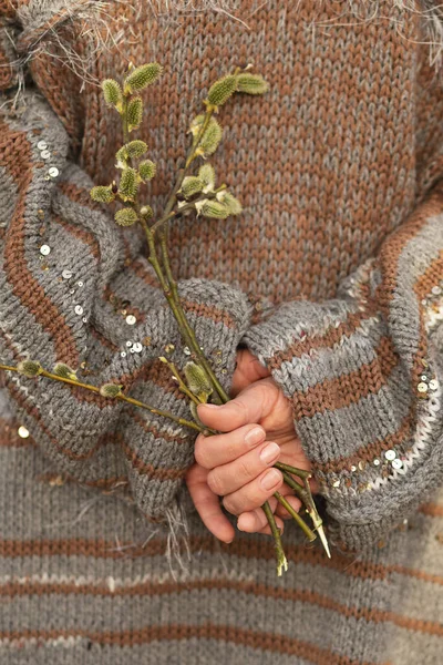 Cropped photo of woman wearing grey, brown woolen cardigan, holding bunch of pussy-willow twigs with green fluffy catkins flowers in hands behind back, hiding. Springtime, Easter symbol. Vertical.