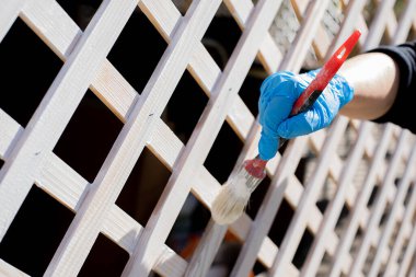 Kırsal kesimlerde insan eli boyama şebekesi çitleri beyaz renklerle fırçalanmış. Hobi ve aktif yaşam tarzı. Yenilenme, konutun yenilenmesi, mesleki uğraş, yeşilliğin iyileştirilmesi