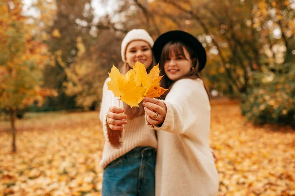Jesienny Portret Dwie Młode Kobiety Zamazane Tle Trzymają Żółte Liście — Zdjęcie stockowe