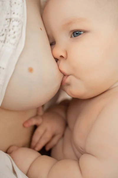 Портрет Спокойного Седоглазого Пухлого Херувимского Младенца Сидящего Матери Белой Хлопчатобумажной — стоковое фото
