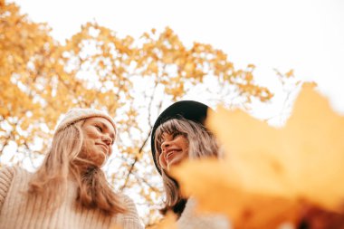 Autumn Park 'ta. Örgü örülü süveter giymiş iki kız arkadaş doğa yürüyüşlerinde mutludur. Yaprak düştü. Olumlu duygular. Kadın arkadaşlığı. Öğrenci zamanları. Sonbahar havası. Yaşam biçimi