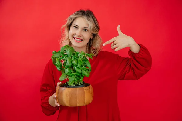 Pointing with finger Smiling gorgeous blonde woman holing basil plant, wooden pot, red background in studio, smiling toothy smile looking at camera, healthy skin care