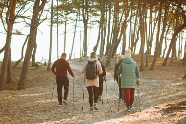 Bir grup insan, sırt çantalı kamp ekibi ormanda profesyonel sopalarla İskandinav yürüyüşü yaptırıyor. Koçla birlikte yaşlılara eğitim veriyor. Tatil sporları, sağlıklı yaşam.