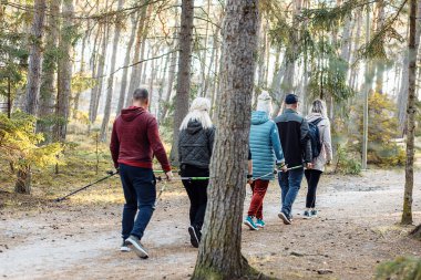İskandinav antrenörü dikiz aynasından İskandinav yürüyüşü, İskandinav yürüyüşü, ormandaki kıdemli insan grubuyla yürüyüş çubukları. Yürüyüş eğitimi veriyor, teknik açıdan iyi bir duruş sergiliyor. Yolculuk.
