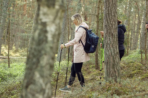 Blond woman coach making Scandinavian, Nordic walking with professional sticks or poles in the forest, nature. Exercises, hiking education for hobby, learning breathing technic. Traveling activity