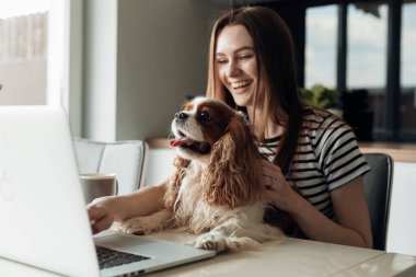 Cheerful, delightful smiling young woman sitting in the kitchen with dog coker Cavalier King Charles spaniel, using laptop. Video call to friends and family, showing new fur friend. Weekend activity 