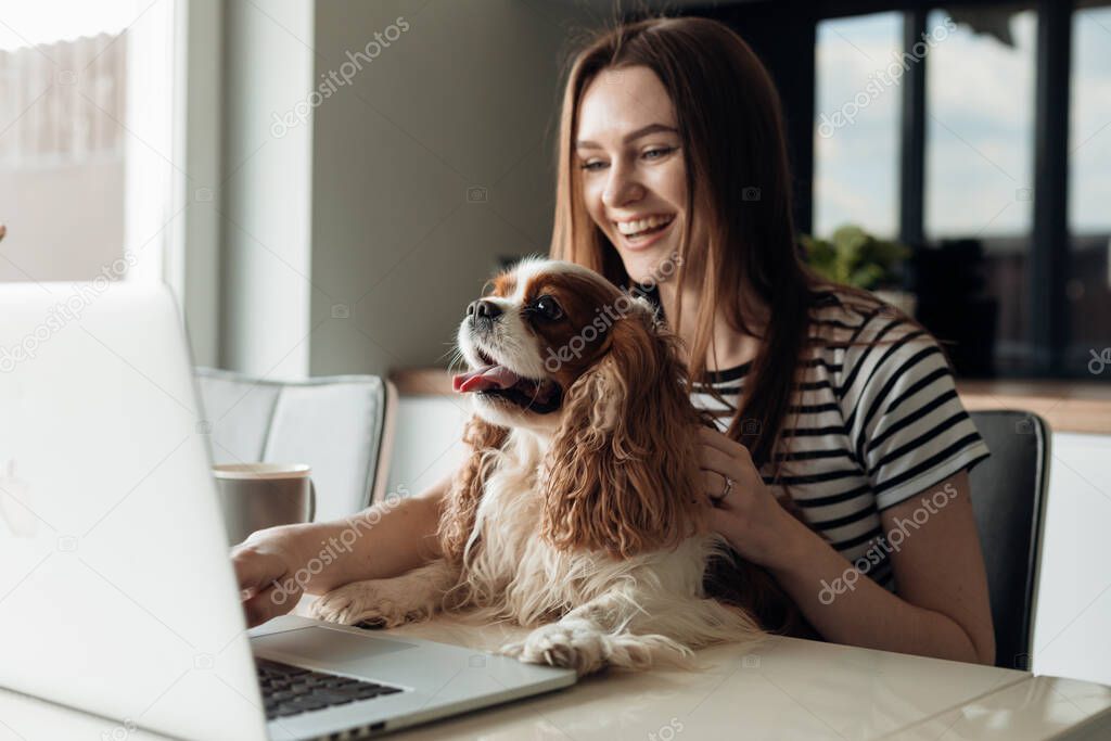 Cheerful, delightful smiling young woman sitting in the kitchen with dog coker Cavalier King Charles spaniel, using laptop. Video call to friends and family, showing new fur friend. Weekend activity 
