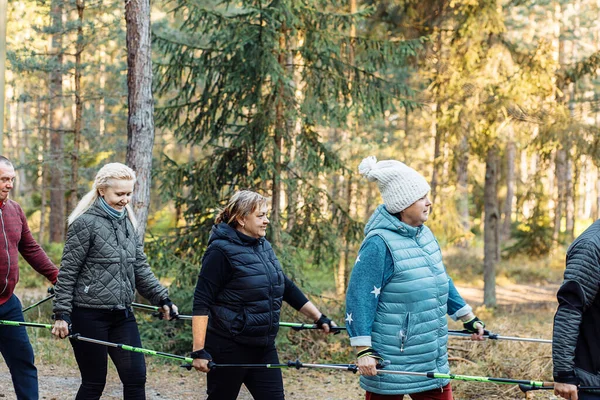 Side view of people making Scandinavian, Nordic walking one by one, holding trekking sticks with senior group of people in forest. Exercises hiking education, steps and breathing technic good posture