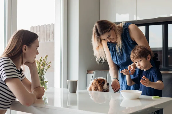 Two calm and disappointed women and little sad boy, refusing food, sitting with dog Cavalier King Charles spaniel in the kitchen, having lunch. Eating problem, picky eater, different eating habits