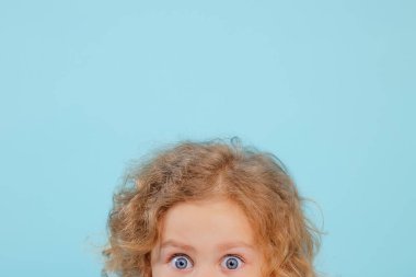 Cropped small little expressive, shocked, curious curly blonde girl in pink shirt posing, staring at camera on blue isolated studio background. Study education courses promotion and ad. Copy space