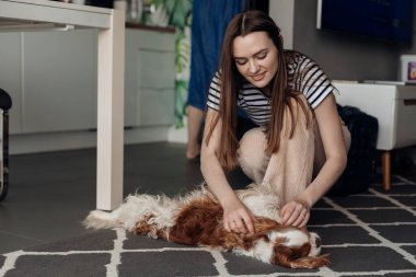 Genç, uzun saçlı, gülümseyen, mutlu bir kadın. Sevilen saf köpek kıvırcık kahverengi ve beyaz Şövalye Kral Charles Spanel ile mutfakta oynuyor. Hayvan iletişimi, sağlık ve tımar