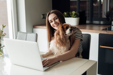Mutlu, neşeli, gülümseyen kahverengi saçlı kadın mutfakta köpek coker Cavalier King Charles Spaniel ile oturuyor, dizüstü bilgisayarla çalışıyor. E-öğrenim, hafta sonları evde eğitim. Rahat iş yeri