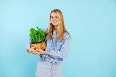 Hoş bir genç kız el ele tutuşuyor. Yeşil saksıda, boş mavi arka planda, bedava fotokopi alanı. İç mekan bitkisi yetiştiren büyüleyici genç bir bayanın fotoğrafı. Ev çiçeği yetiştiricisi, bitki bakımı.
