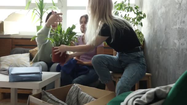 Siswa Tahun Pertama Duduk Bersama Meja Kamar Kampus Membongkar Kotak — Stok Video