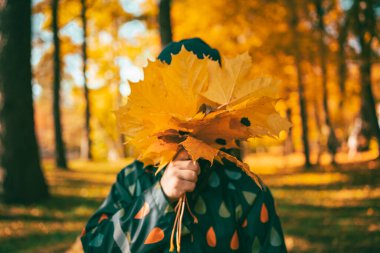 Çocuk yüzünü akçaağaç yapraklarıyla kapadı. Sonbahar havası. Akçaağaç yaprağı düşer. sonbahar arkaplanı