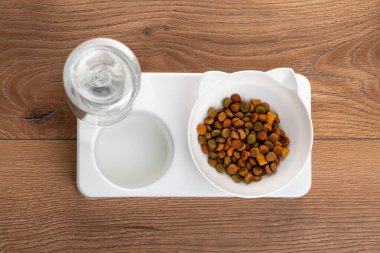 Kendini dolduran suyla dolu beyaz kedi maması kasesi. Kediler için otomatik besleyici