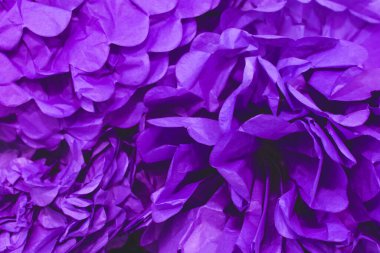 Eski mor kırışmış parçalar kağıt bir arka planda.