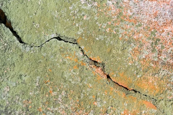 Crack Old Weathered Dirty Green Mold Broken Wall Texture Background — Stockfoto